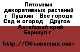 Питомник декоративных растений г. Пушкин - Все города Сад и огород » Другое   . Алтайский край,Барнаул г.